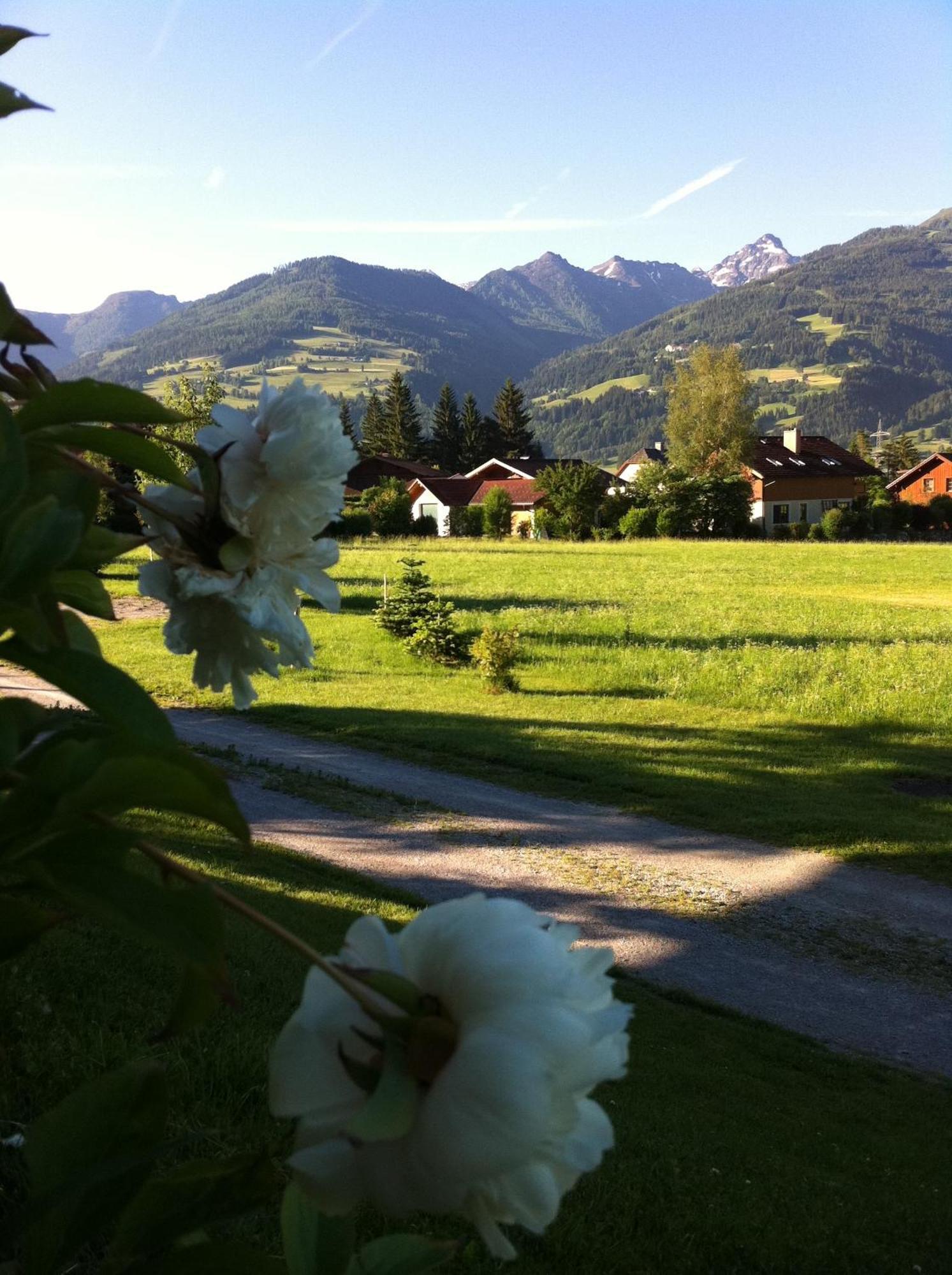 Apartmenthaus Rapplhof Esterno foto